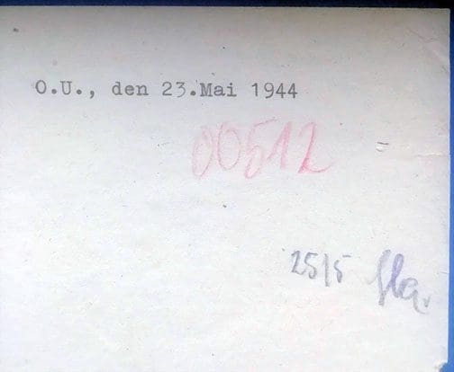 1944 Oskar Dirlewanger 0721 JL 4