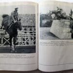 Reiten Olympia 0925 1