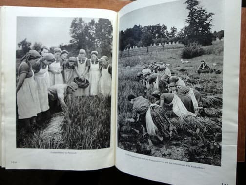 Arbeitsmaiden Werk 1225 8